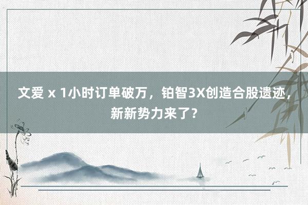 文爱 x 1小时订单破万，铂智3X创造合股遗迹，新新势力来了？