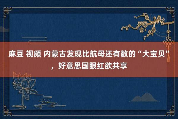 麻豆 视频 内蒙古发现比航母还有数的“大宝贝”，好意思国眼红欲共享