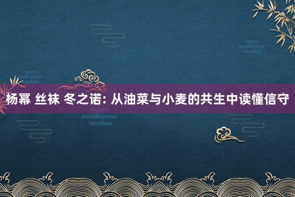 杨幂 丝袜 冬之诺: 从油菜与小麦的共生中读懂信守