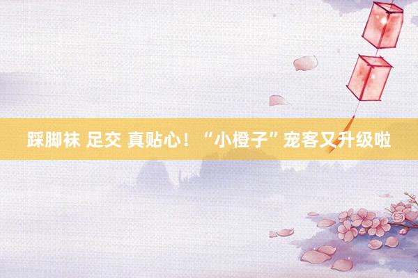 踩脚袜 足交 真贴心！“小橙子”宠客又升级啦
