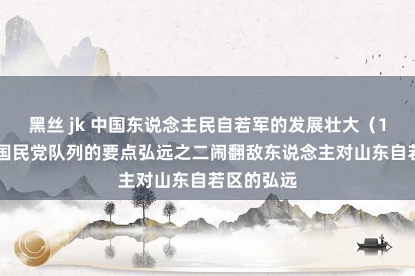 黑丝 jk 中国东说念主民自若军的发展壮大（140）闹翻国民党队列的要点弘远之二闹翻敌东说念主对山东自若区的弘远