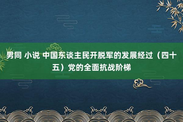 男同 小说 中国东谈主民开脱军的发展经过（四十五）党的全面抗战阶梯